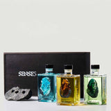 Nahaufnahme des Ritualsteins beim Aufguss – SENSE5 Slow Steam Stone